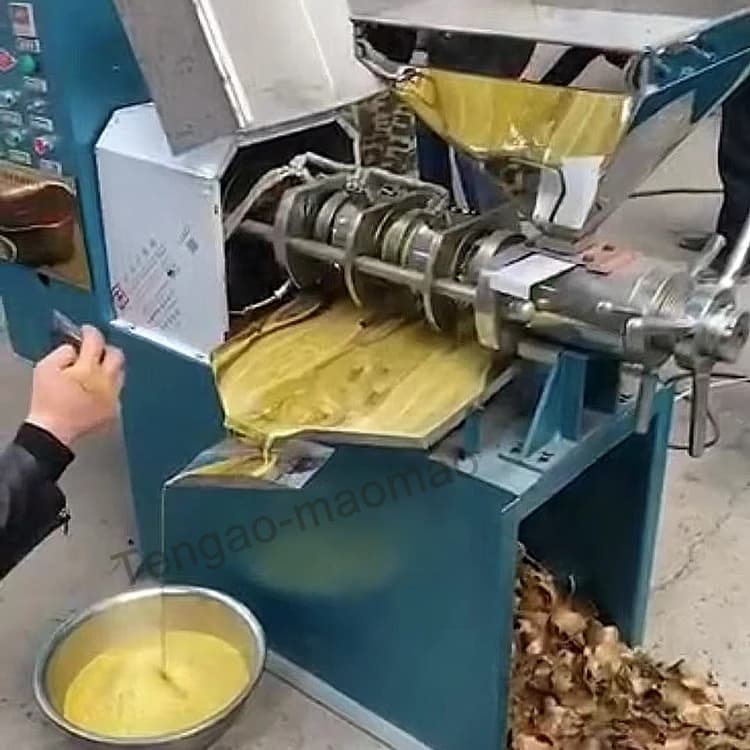 Large Capacity 300kg/h Soybean Sunflower Oil Presser/ Commercial Sesame Peanut Seeds Oil Press Machine
