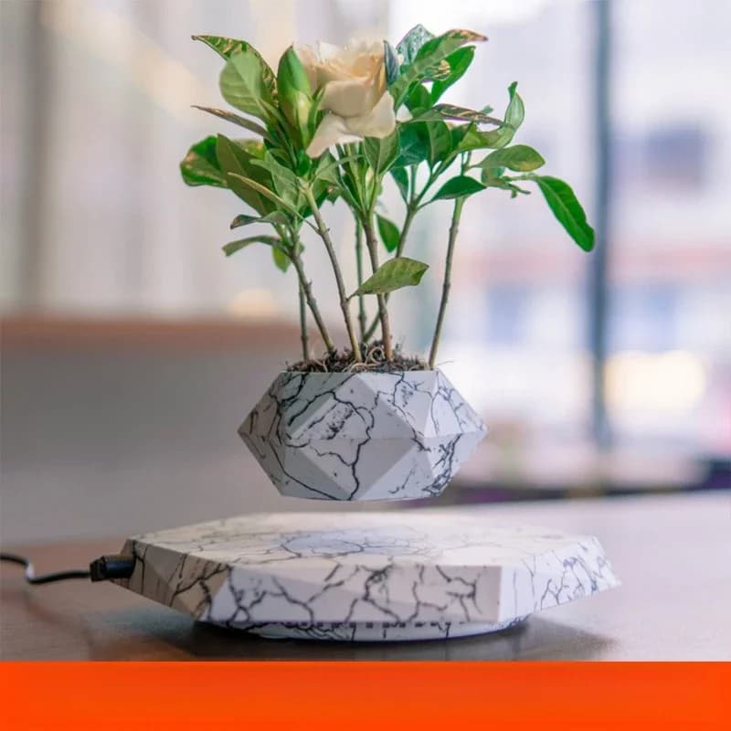 Maglev plant bonsai ornament aerial flower pot potted plant home decoration