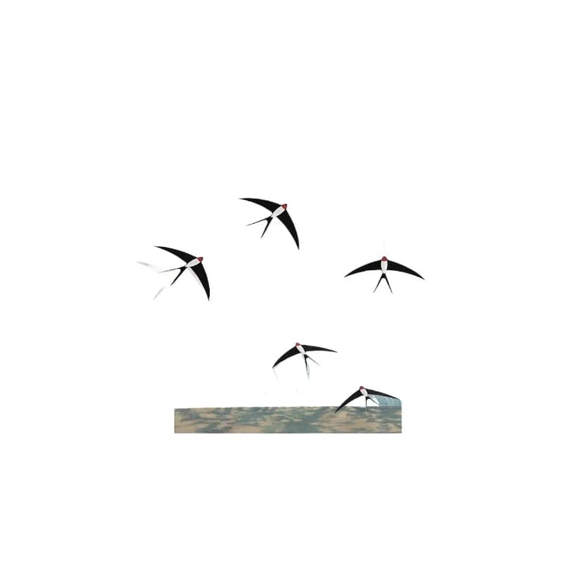French porch light and shadow decorative paintings, can hang swallows three-dimensional cream wind into the home opposite