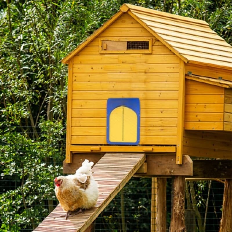 Solar plug-in light sensor Automatic induction Open and close chicken coop door Pet chicken coop chicken coop door
