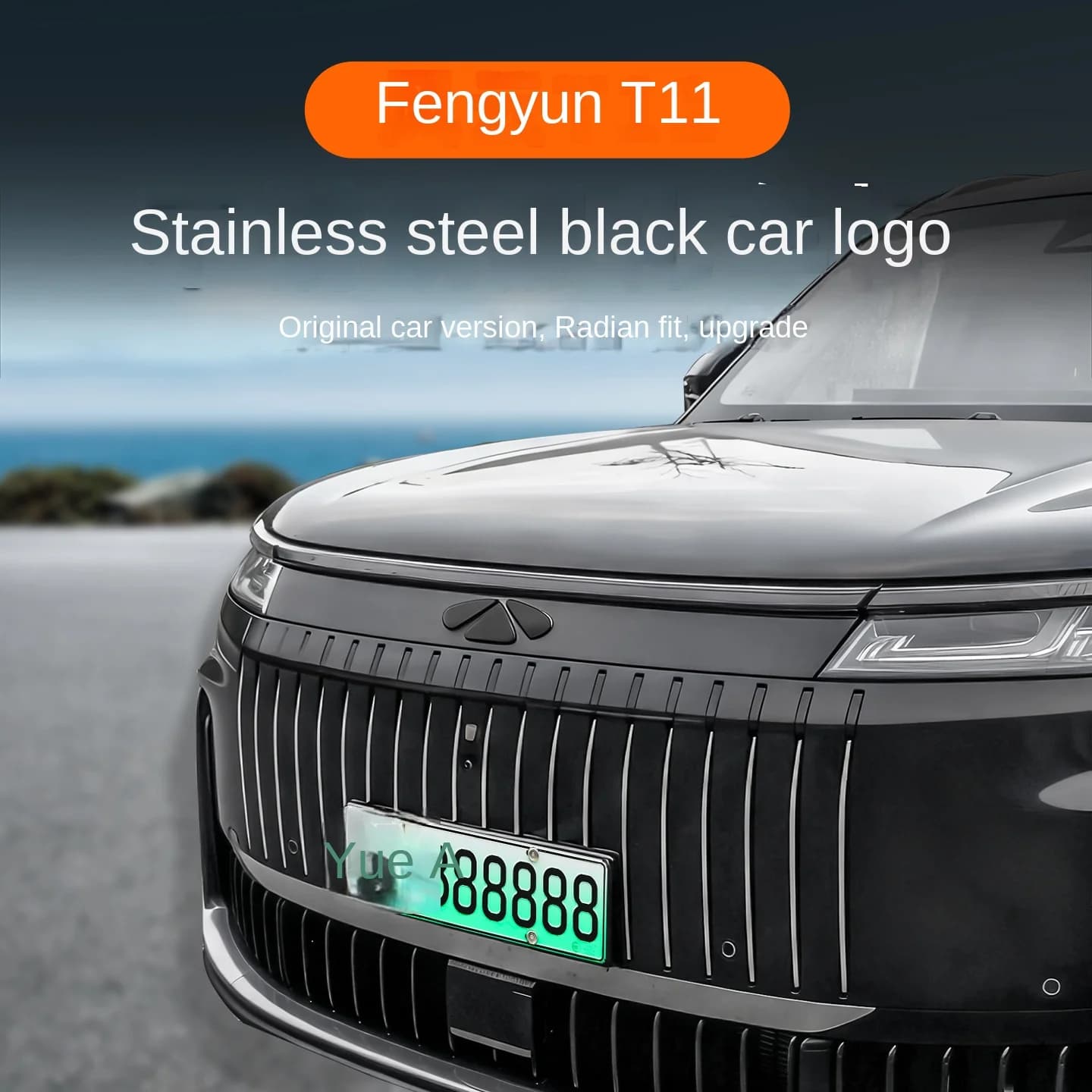 Suitable for Chery Fengyun T11 logo blackening modification, exterior decoration special black warrior accessories