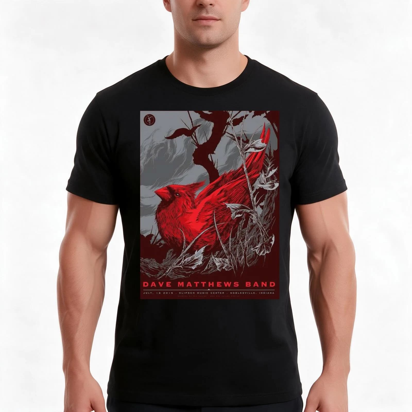 DMB 2015 July 18th Klipsch Music Center Nobleville T-Shirt, Summer Casual Cotton Tee, Oversized Streetwear Tops, 100% Cotton