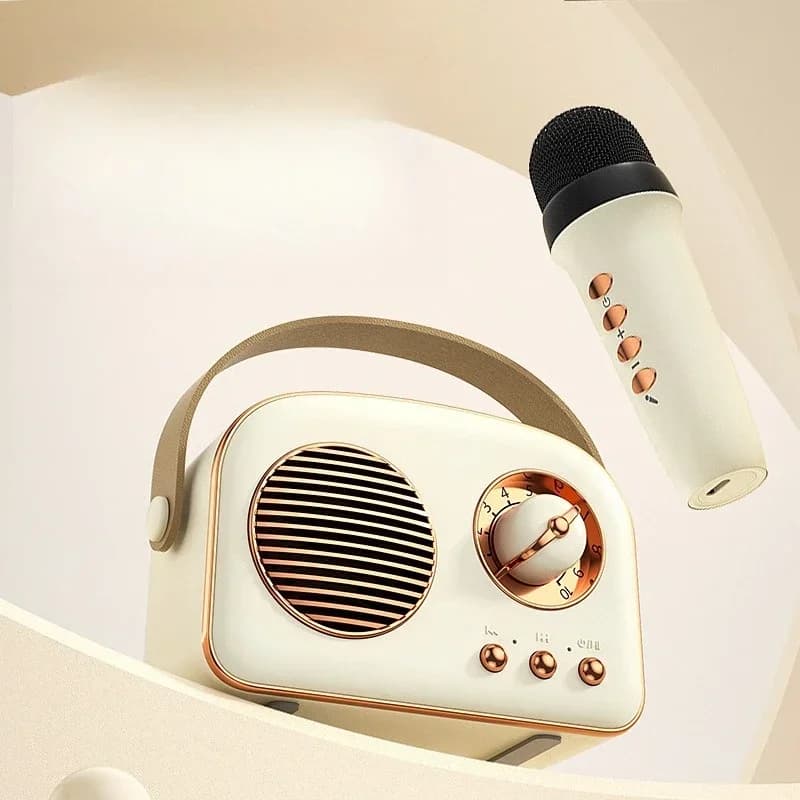 Wireless Karaoke Bluetooth speaker, outdoor small stereo, then carry Bluetooth speaker