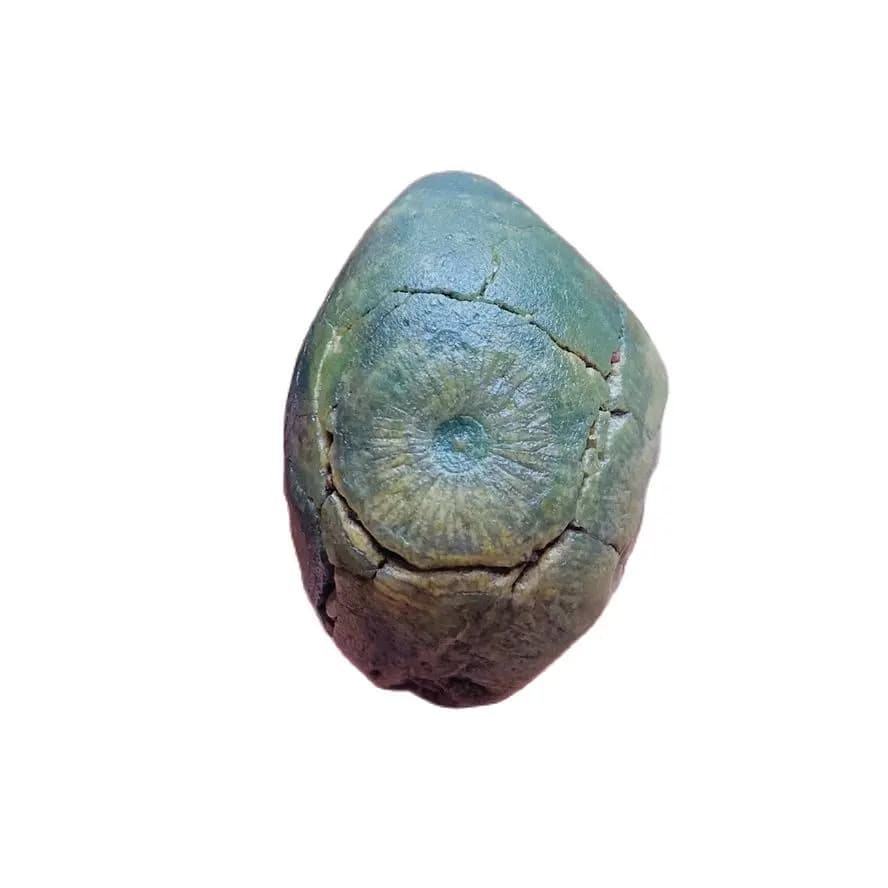 Natural Quartz Gobi Agate Raw Stone Energy Chakra Crystal Reiki Healing Home Ornament