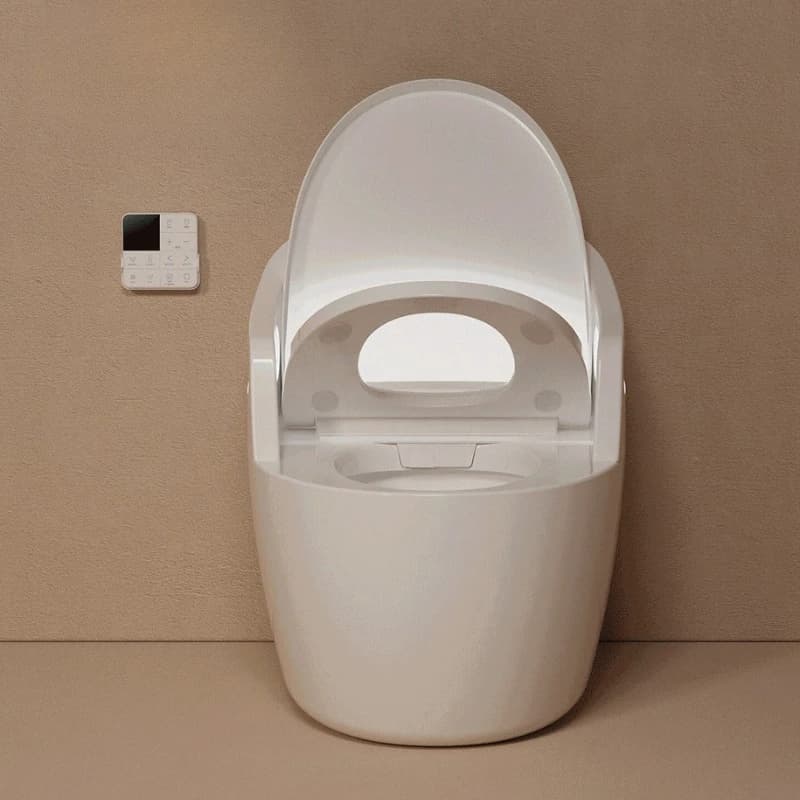 Wide armrest toilet, large pension project foam shield toilet