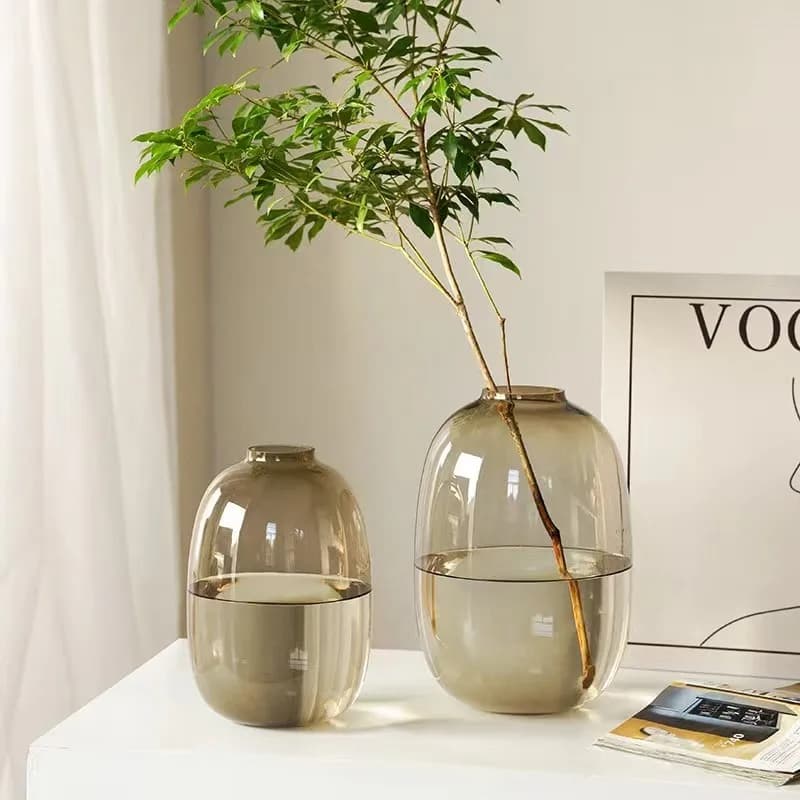 Japanese Nordic Light Luxury Simple Big Belly Glass Vase High Sense Living Room Horse Drunk Wood Hydroponic Decorative Ornament
