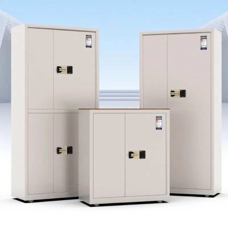 National Security Cabinet M153-R2GUUB National Security Password File Cabinet Ancient Books Cultural Relics Calligraphy