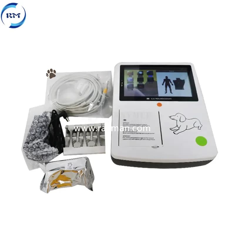 7" Touch Screen Veterinary Ecg with WIFI/USB Data/built-in Print Medical Ecg for Animals/pets