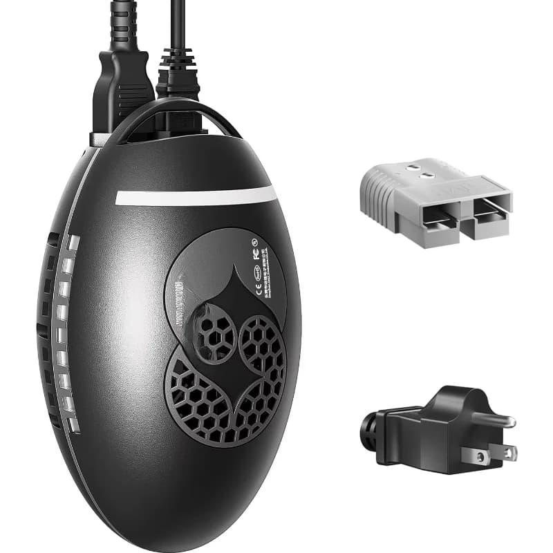 Fast charger, lithium iron phosphate battery charger for electric motorcycles
