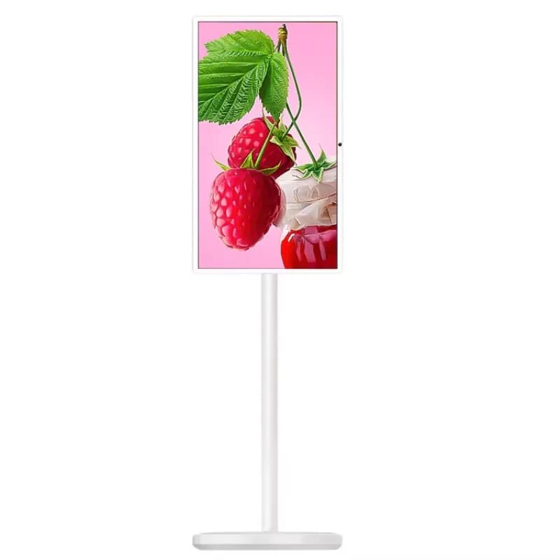 Portable Monitor Android Player Battery Powered Touch Screen 8MP Camera Smart TV LED Display