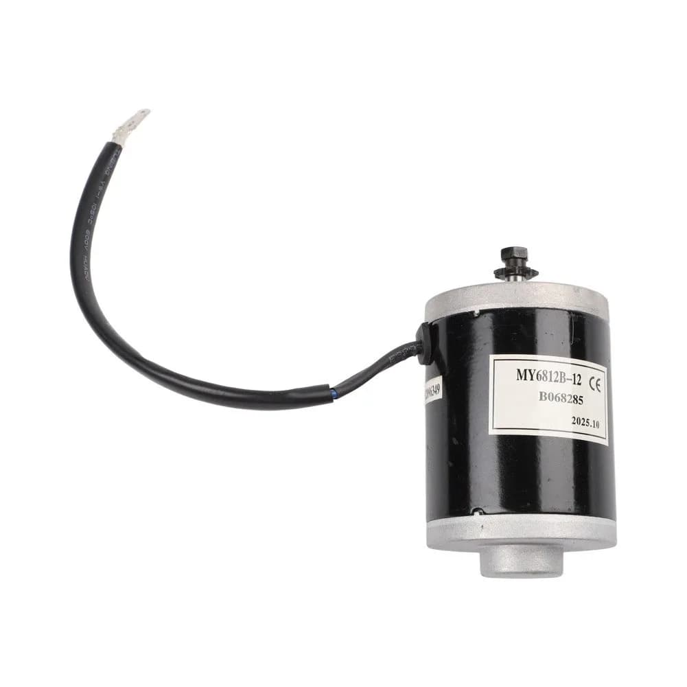 12V 24V Dual Voltage 100W DC Brushed Motor Dependable Power Transmission Efficient Heat Dissipation For DIY Projects