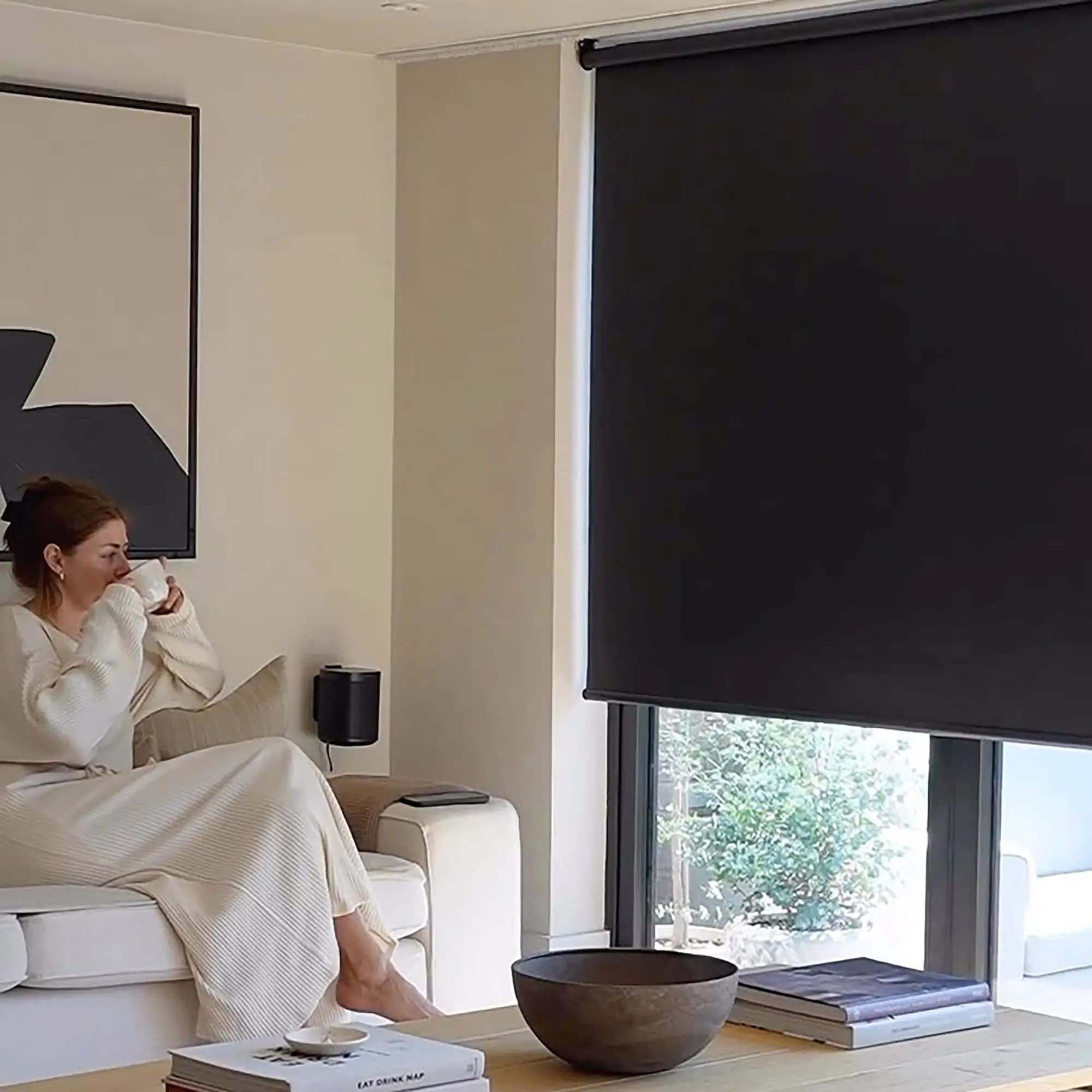 Auto-Schedule Your Sunlight! Smart WiFi Blinds with Timer. Motorized Roller Shades for Blackout & UV Protection. Works with Alex
