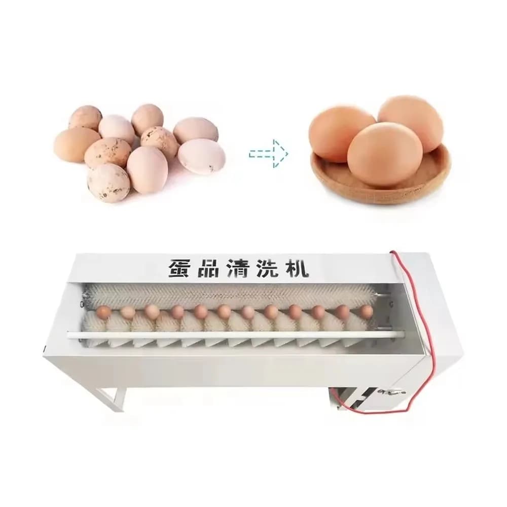 Commercial 2000pcs/h Duck Egg Washing Machine Food Grade 304 Stainless Steel Egg Cleaner for Salted Duck Eggs