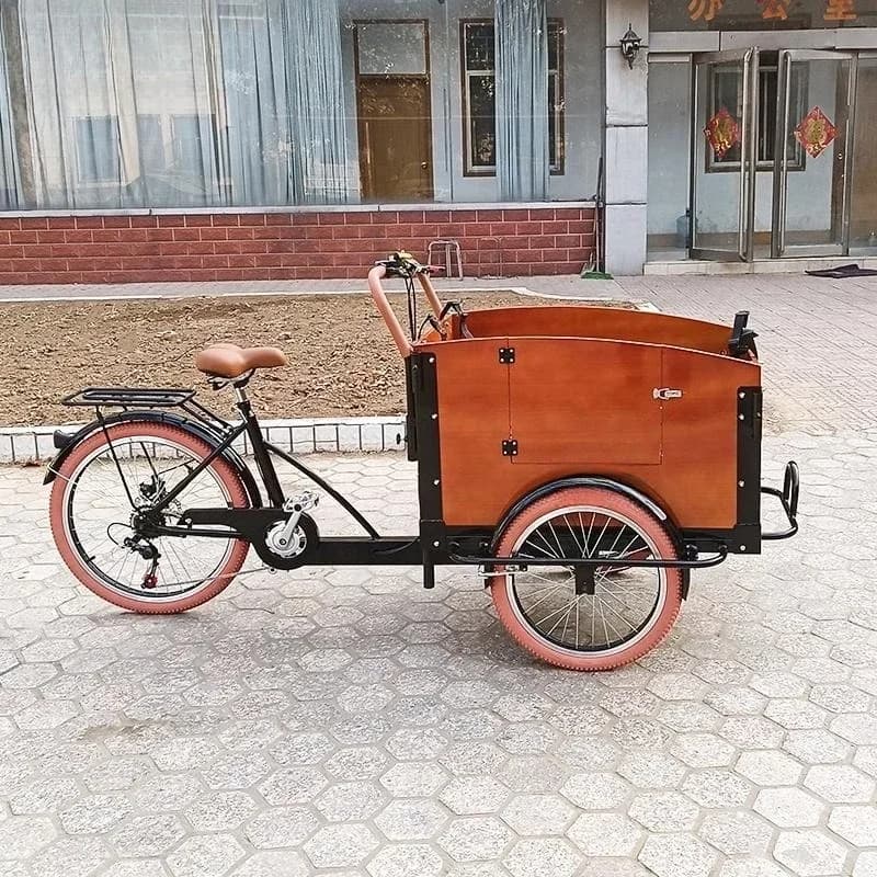 Cargo bike European bicycle transfer upside down donkey tricycle electric