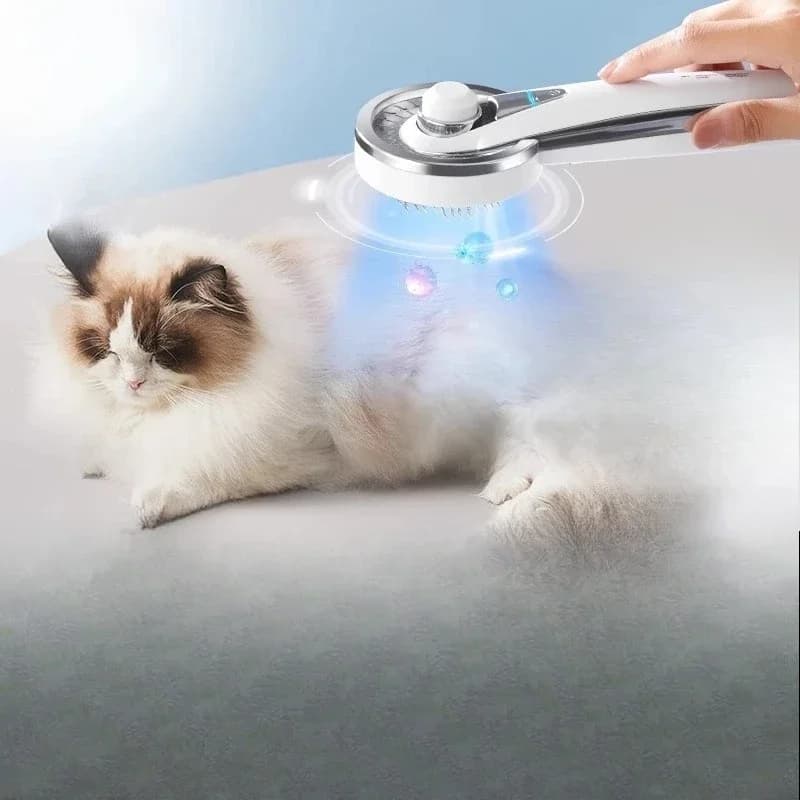 Special for cat combs, steam comb brush for pet dogs