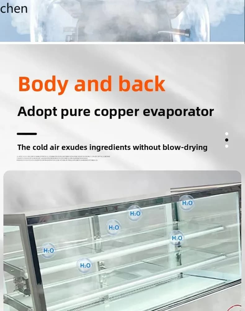 H20-small string rock sugar gourd salmon fruit fishing air-cooled freezing commercial fresh-keeping refrigerated display cabinet
