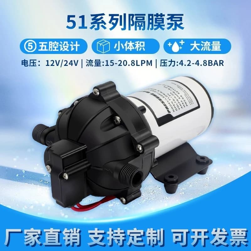 51 Series Diaphragm Pump LSDP2-055-070-51 (24V)