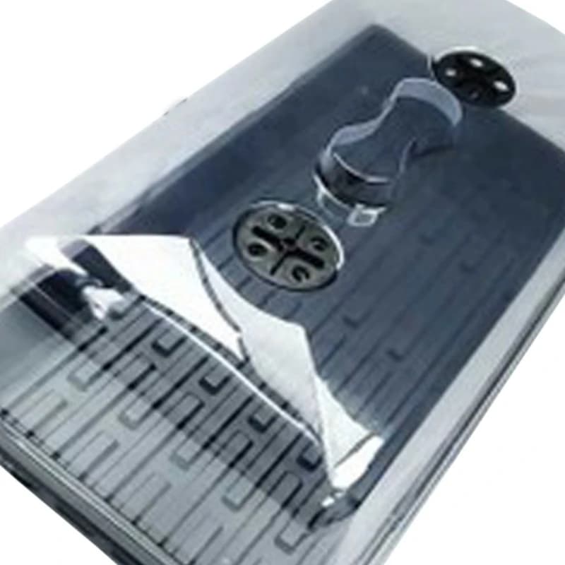 Seedling box, succulent seedling insulation and moisturizing transparent lid
