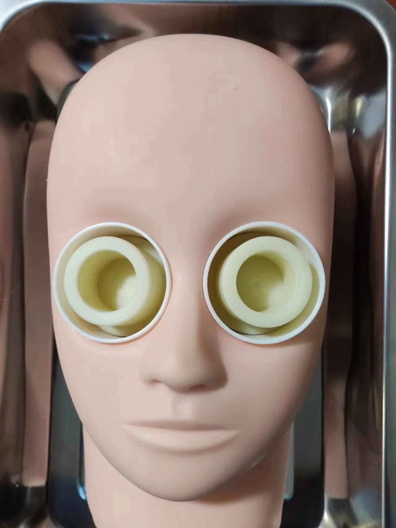Ophthalmic Surgery Practice Model, Ophthalmic Human Head Model, Eye Fixator Pig Eye
