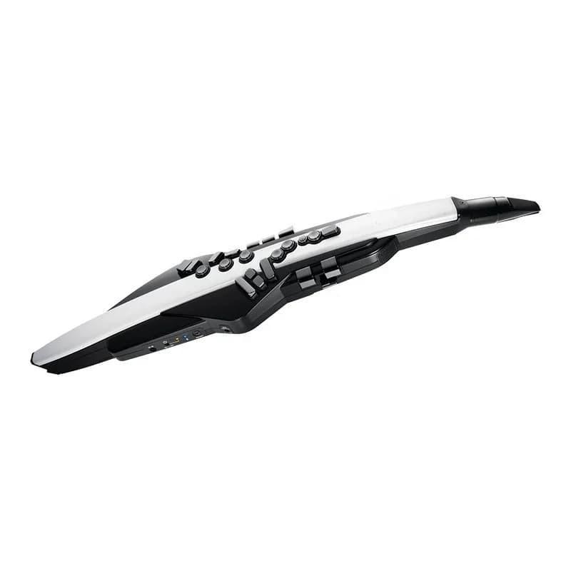 Electronic clarinet AE-20W electric saxophone flute for the elderly beginner