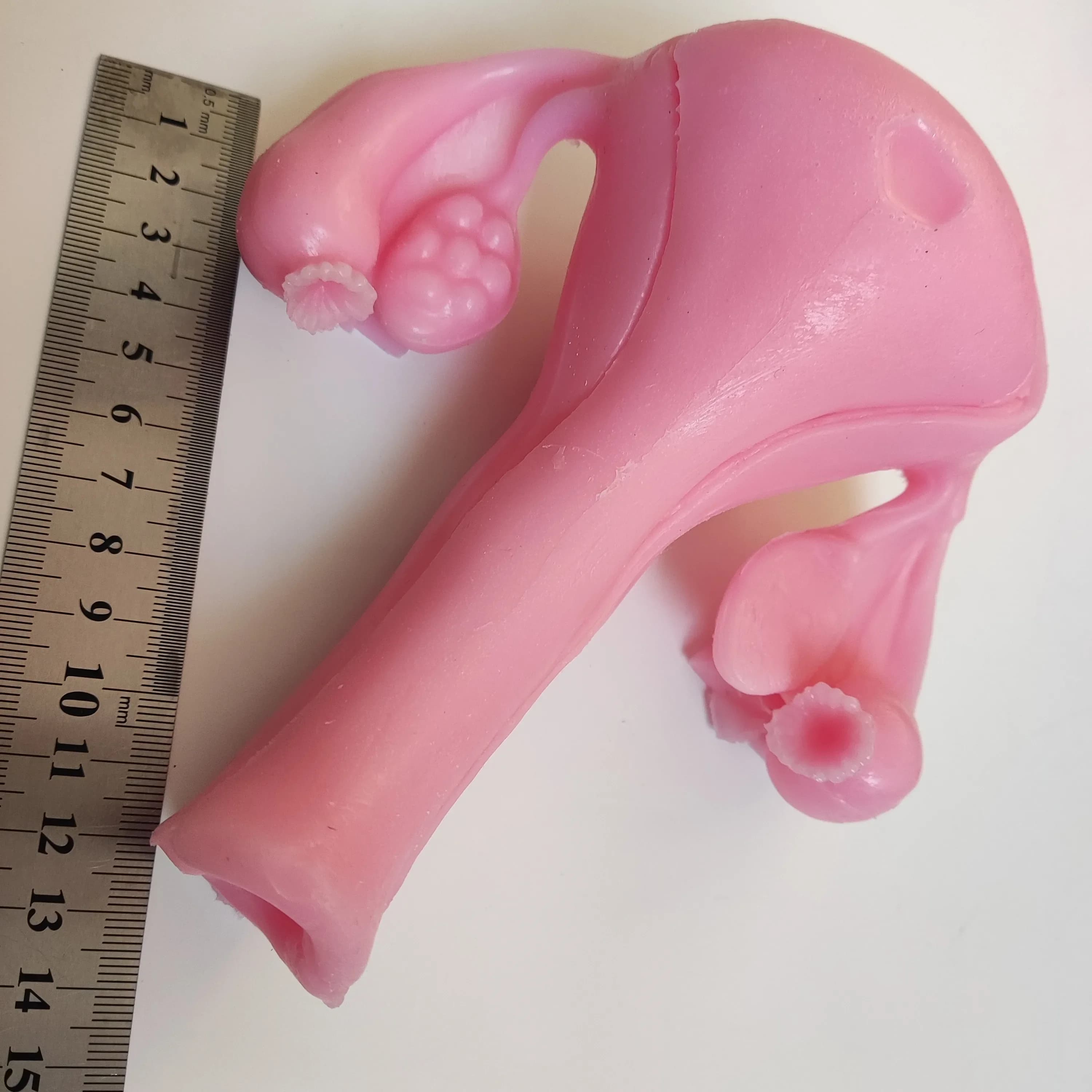 Gynecological Surgery Training Model – 3D Bionic Silicone (Shear, Suture, Peeling)