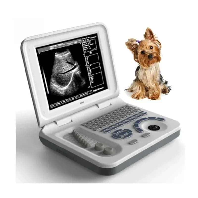 Full Digital Diagnostic System Portable B/W Vet Veterinary Ultrasound Machine For Animals