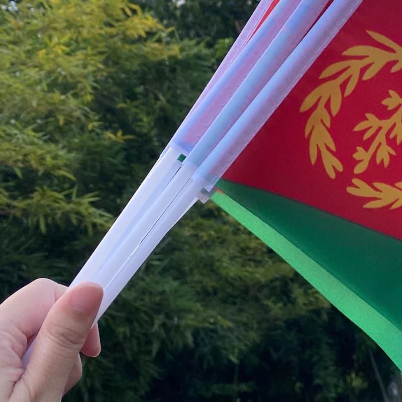 Xvggdg 50pcs 14 * 21cm Custom Hand Flag Eritrea Hand Flag Polyester Small Size Flying Banner