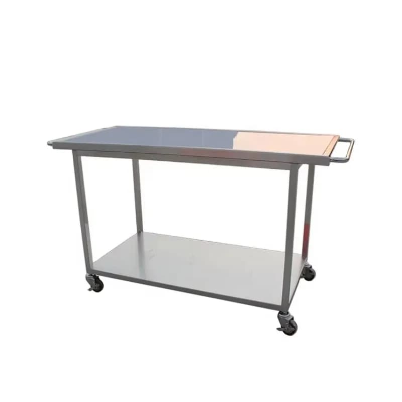 Vet Medical Device Vet Stretcher 304 Stainless Steel Vet Table Stretcher for Veterinary Pet Transform