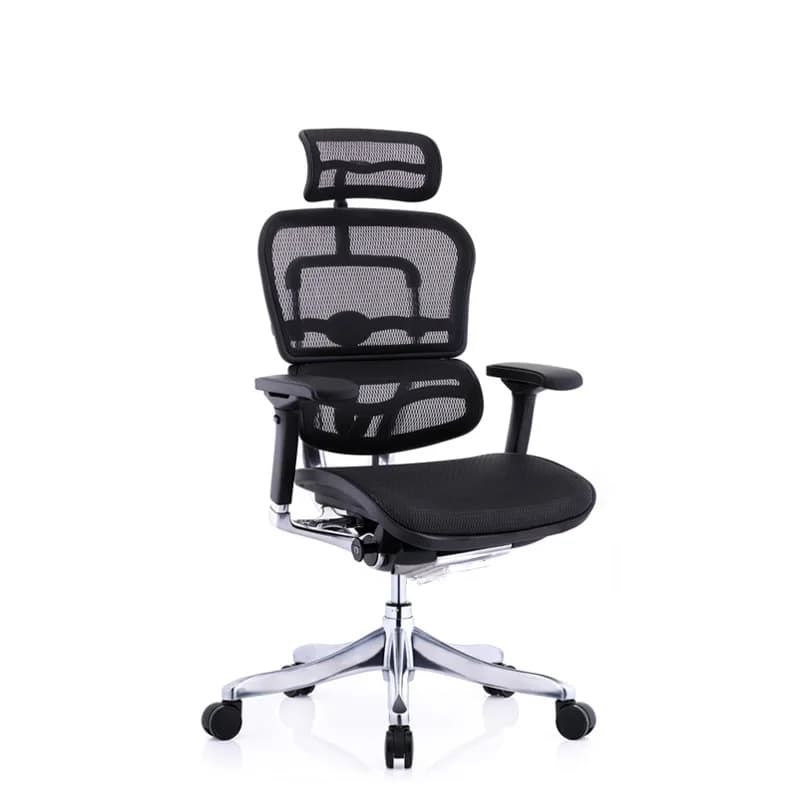 Computer Chair Ergonomic Chair Home Office Chair E-sports Net Boss Waist
