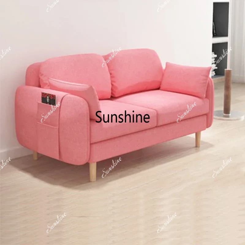Comfortable Elegant Sofa Beds Modern Pink Multifunctional Classic Sofa Beds Double Storage Sofa Camas Living Room Furniture