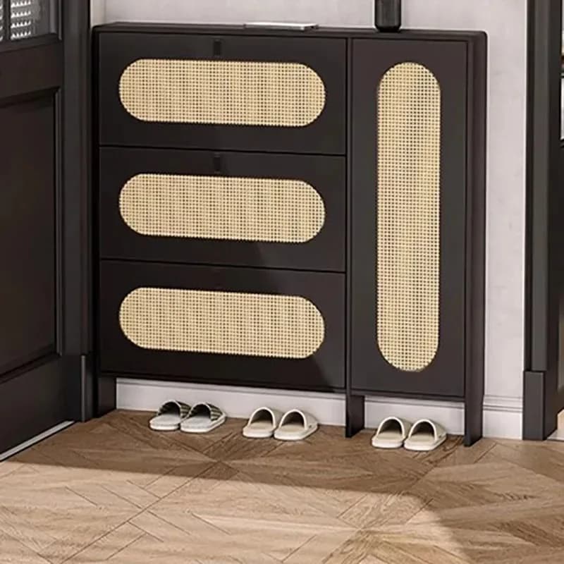 Narrow Door Shoe Cabinets Multilayer Space Saving Adjustable Luxury Shoe Cabinets Storage Accent Zapatero Lounge Suite Furniture