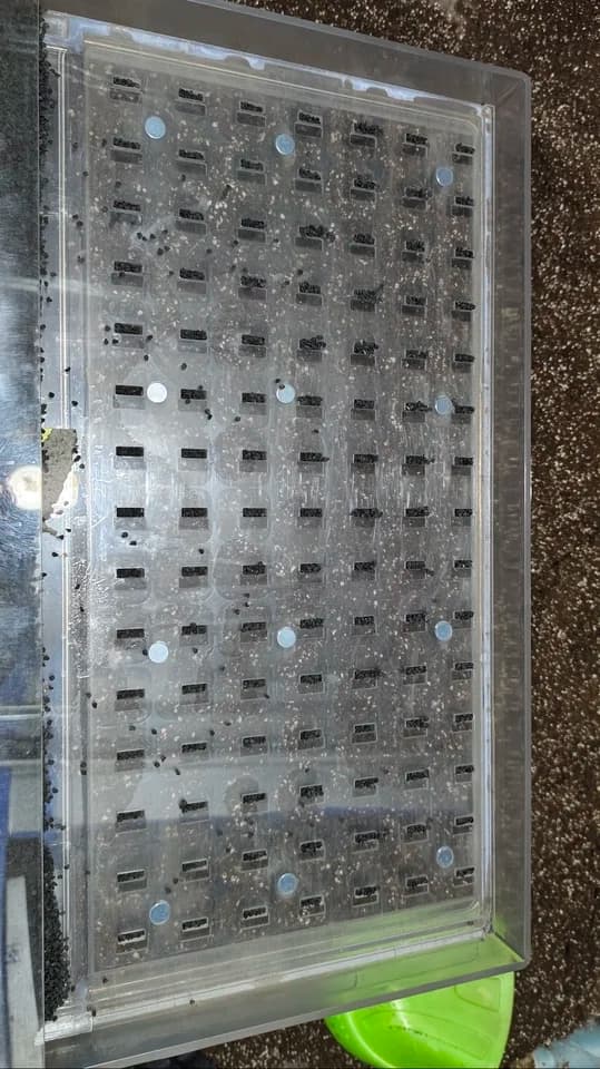 For Multi‑Hole Acrylic Manual Seeder 32‑200 Holes, High Efficiency Seed Tray Sowing Tool Nursery Planting Accessory