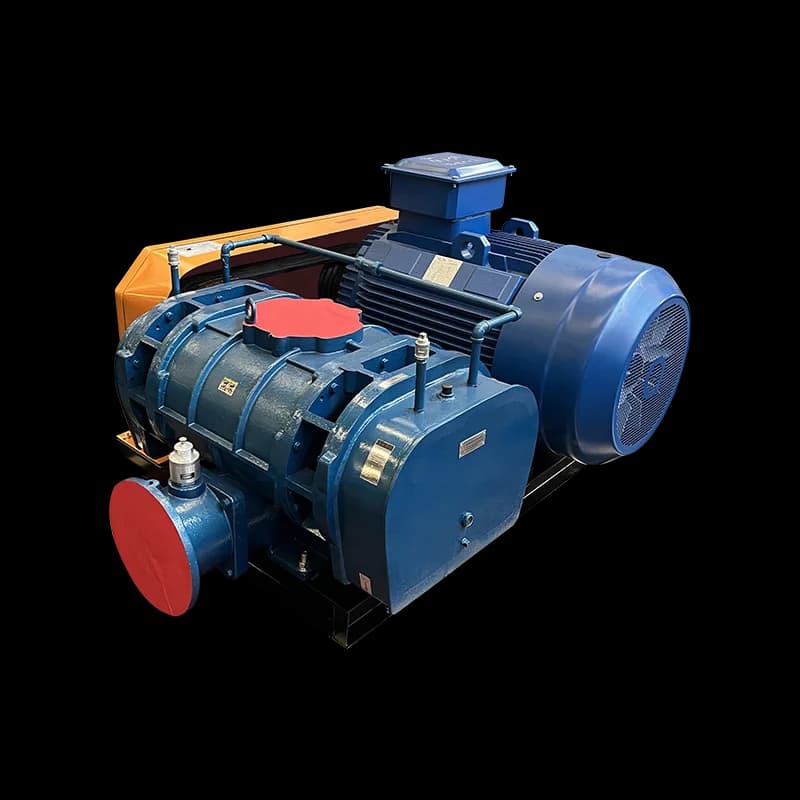 Lubrication-free Maintenance-free Professional Manufacture Leaf Vacuum Direct Type Roots Blower  Hot Selling Roots Air Blower