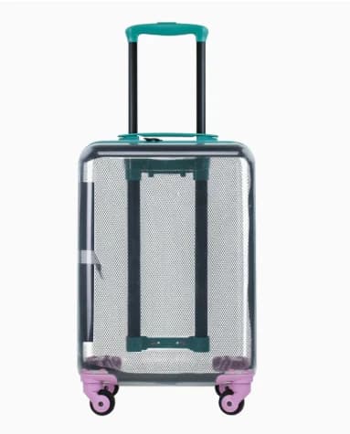 Transparent PC Scratch-Resistant and Wear-Resistant Pull-on Luggage 20-Inch Adult Checked Suitcase with Swivel Wheels