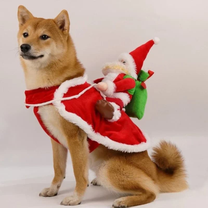 Pet New Santa Claus Riding Pet Christmas Dog Clothing Cat Christmas Clothing Shiba Inu Christmas Clothing