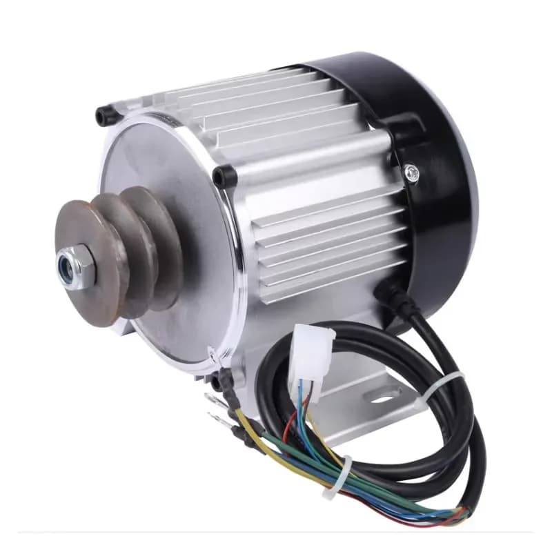 48V DC Brushless Motor 350W 1000W for Electric Rickshaw Three Wheeler Marine Vehicle IP55 Waterproof High Torque Factory