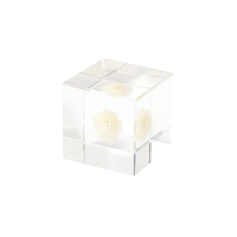 Modern minimalist herbarium cube resin ornament