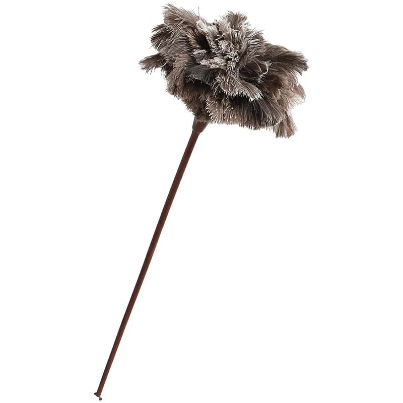 Large ostrich feather duster with extended walnut feather duster