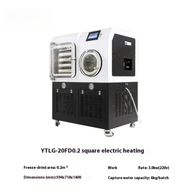 Multifunction Powerful Food Dehydrator Fruit Dryer Machine Automatic freeze dryer‌ under GMP standards