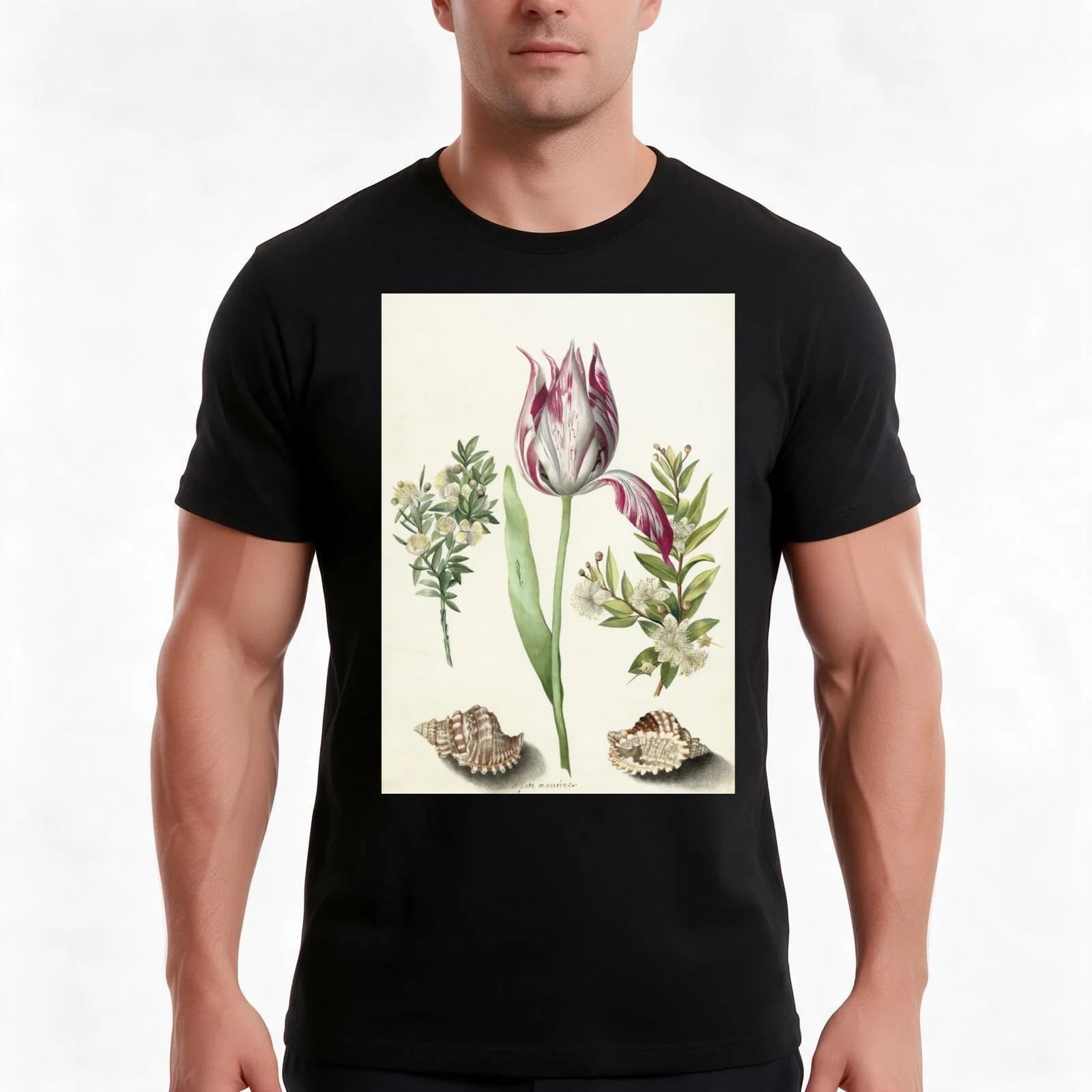 Tulip, two Branches of Myrtle and two Shells Maria Sibylla Merian c. 1700 T-Shirt, Summer Casual Cotton Tee, Unisex Men Women