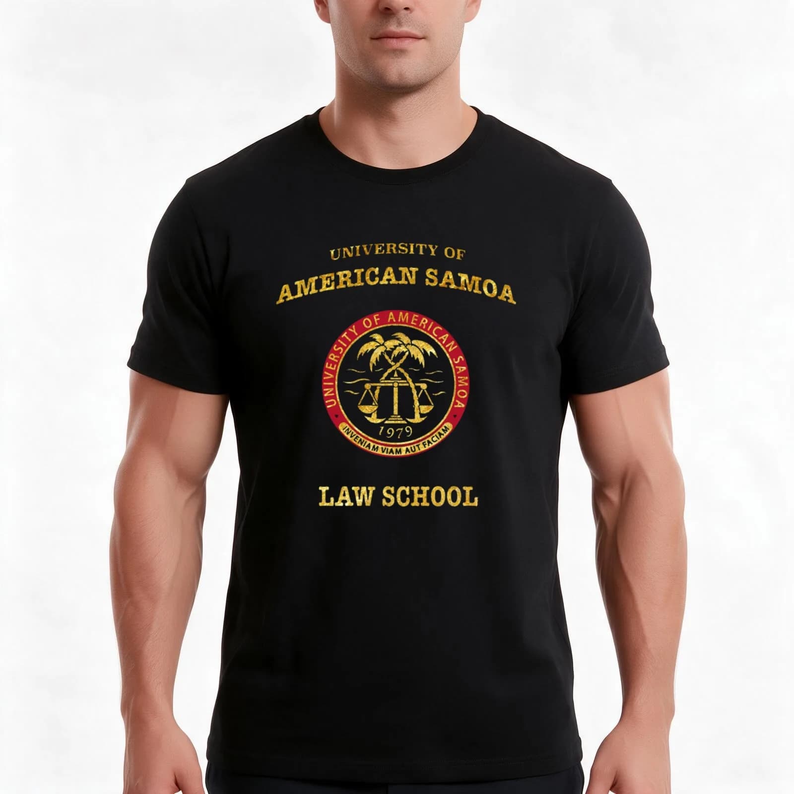 BCS - University of American Samoa Law School T-Shirt, Summer Casual Cotton Tee, Oversized Streetwear Tops, Unisex Men Women