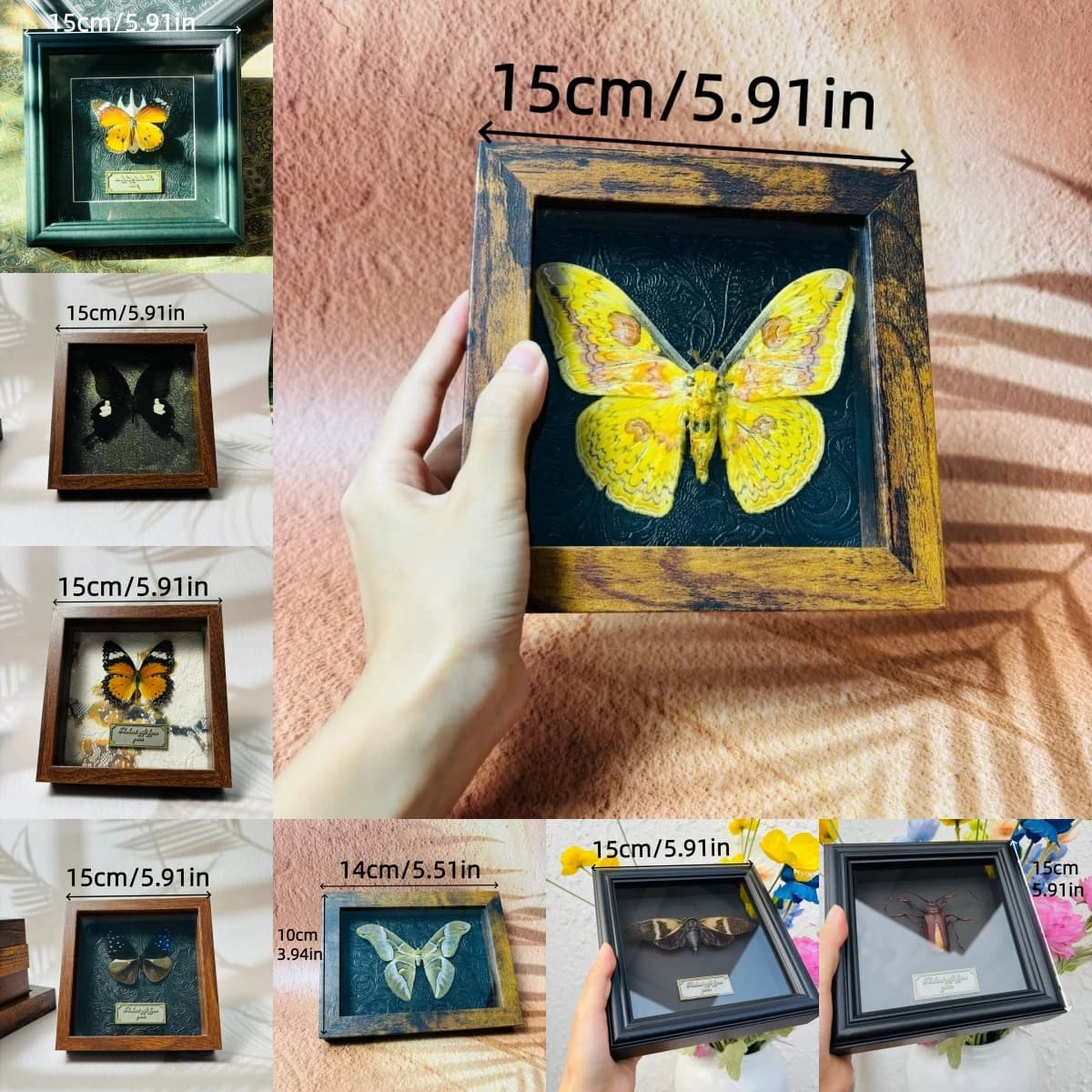 2105 Wholesale Assorted Framed Moth Butterfly Craft Ornament Collection Vintage Shadow Box Wall Art Handmade Decor Set For Gift