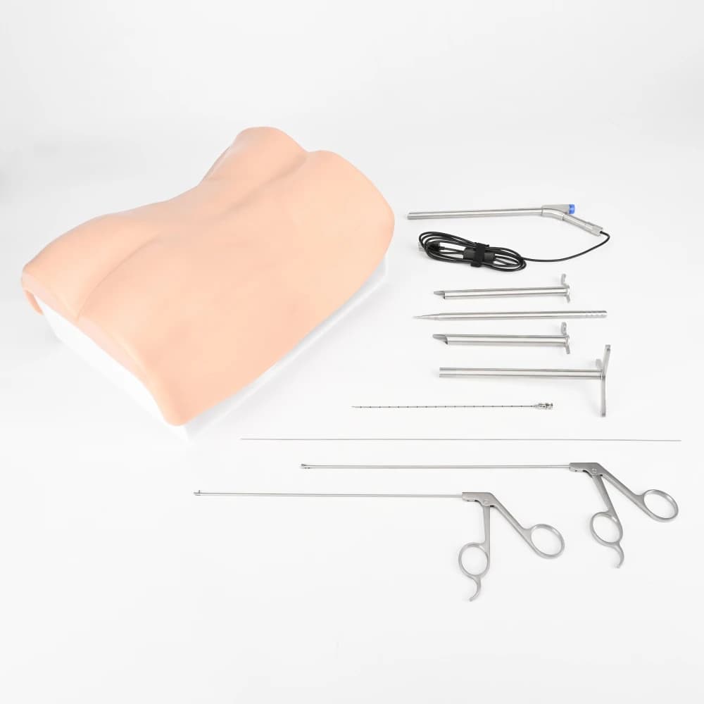 Foramen simulator with lumbar spine model arthroscopy Training interlaminal discectomy trainer