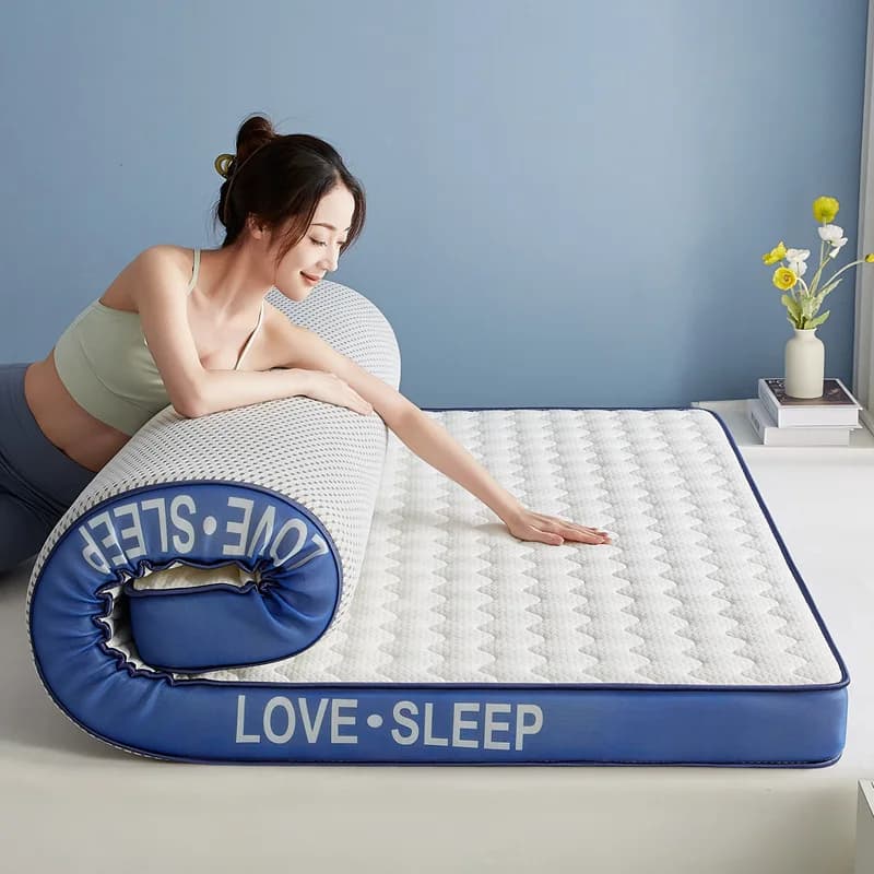 Custom Single and Double Latex Mattress Home Cushioned Thickened Memory Cotton Bed Mat for Student Dormitory Tatami