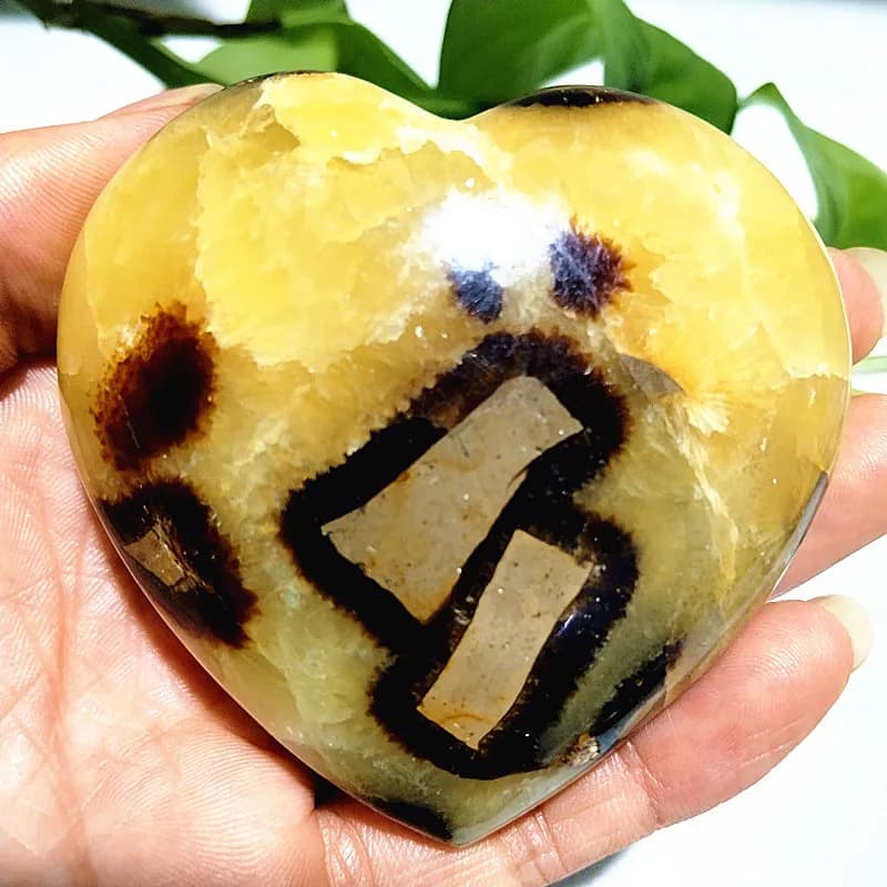 Natural Stone Pretty turtle Back Stone Heart Spiritual Meditation Healing Yoga Exercise Stone Feng Shui Crystal Ornaments