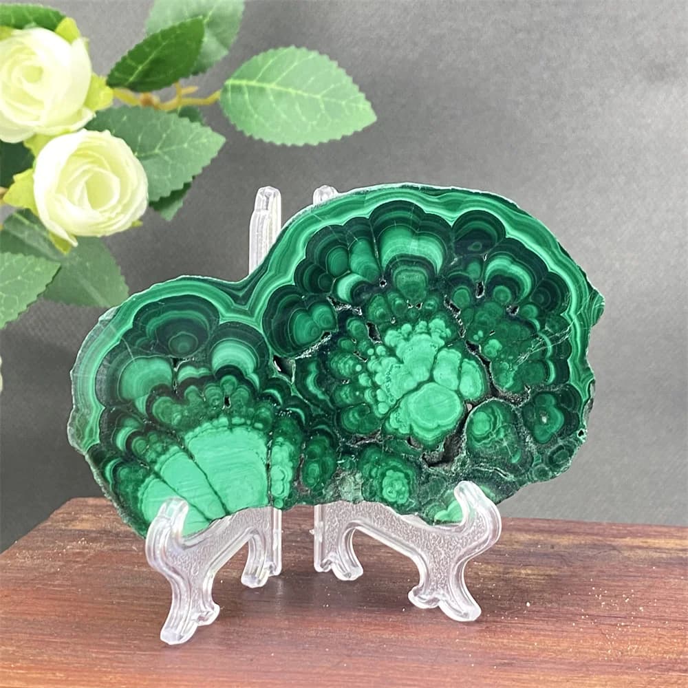 Natural Malachite Crystal Slices Polished Slab Mineral Specimen for Healing Meditation Home Decor - Beautiful Shelves Included