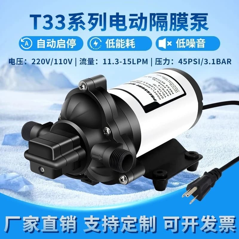 T33 series electric diaphragm pump LSDPA1-040-045-033