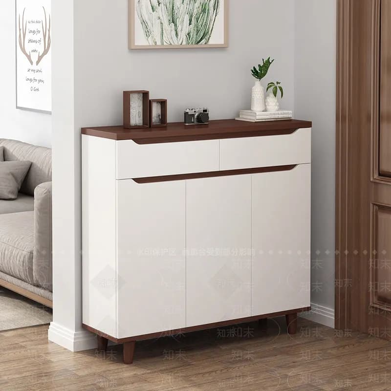 Designer Luxury Shoe Cabinet Vertical Organizer Storage Cupboard Display Shoe Shelf Shoe Shelf Show Archivadores Home Furniture
