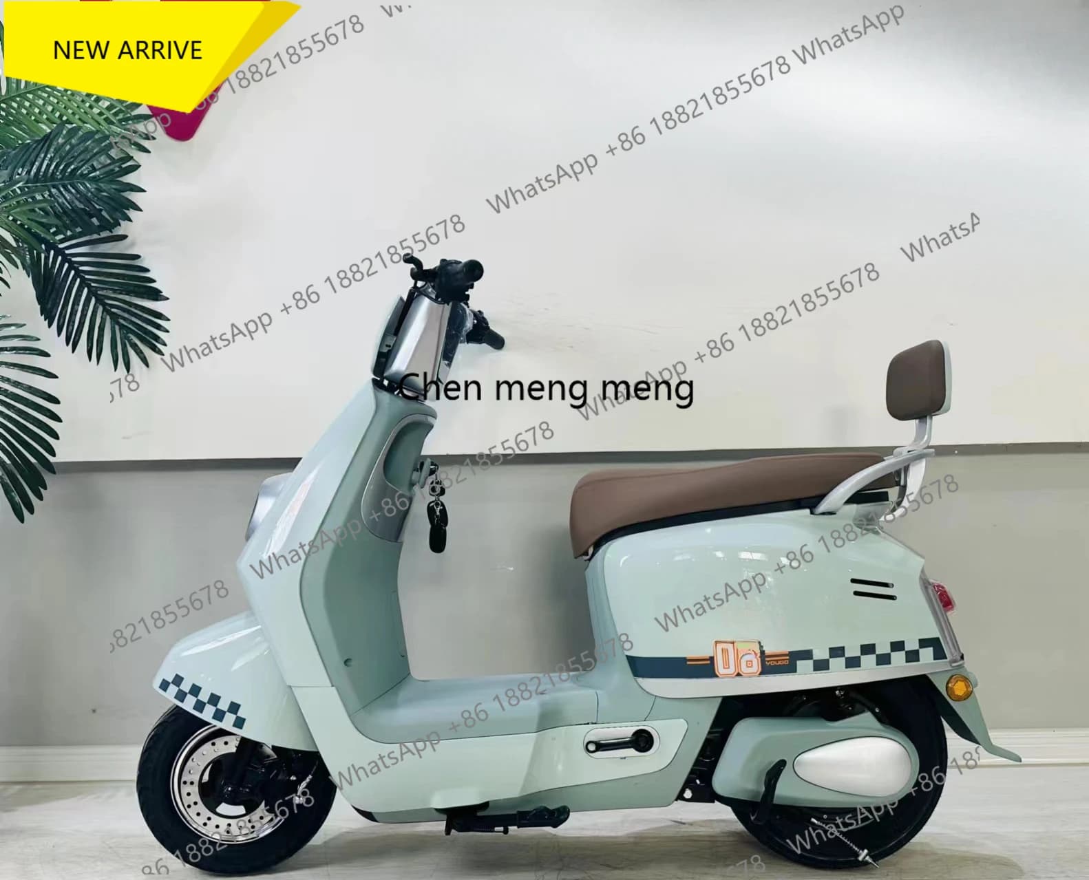 M138 Adults' Lithium Ion Electric Bicycle for Adults Lightweight Magnesium Alloy Men's and Women's Commuting Bike Power Assisted
