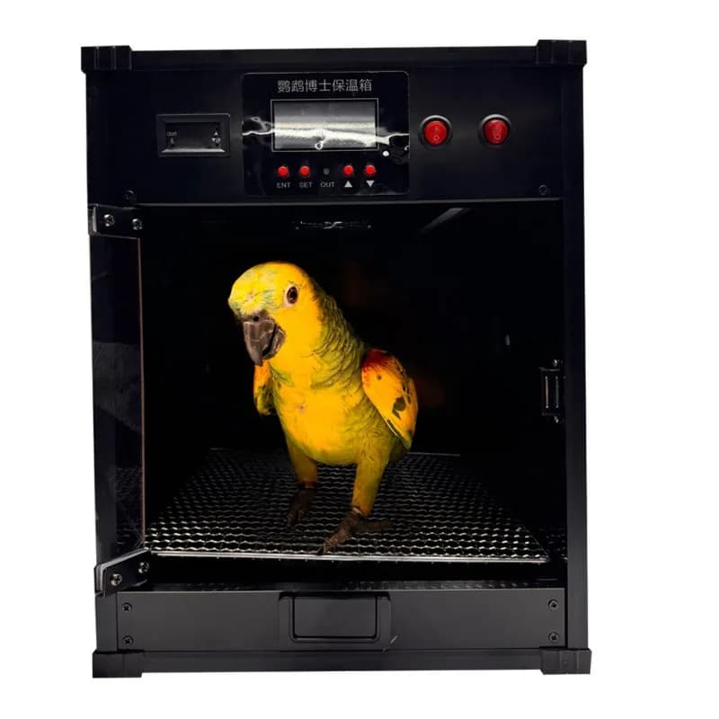 Insulation box smart constant temperature young bird brooding box warm box smart